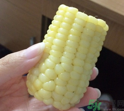 玉米沒煮熟能吃嗎？沒煮熟的玉米能吃嗎？