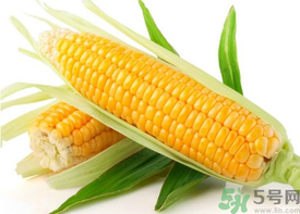 新鮮玉米怎么保存？鮮玉米怎么保存？