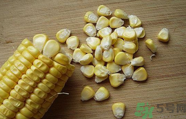 玉米粒可以釣什么魚？玉米粒釣魚方法