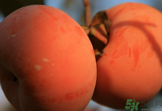 大柿子不能和什么同吃？大柿子和什么食物相克？