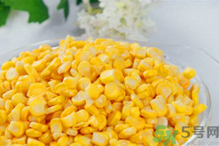 秋天釣魚(yú)用什么餌料？秋季釣魚(yú)用什么餌料好？
