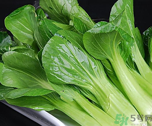 青菜可以放冰箱嗎？青菜能放冰箱保鮮嗎？
