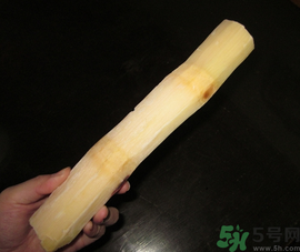 甘蔗可以放冰箱嗎？甘蔗放冰箱能保存多久？