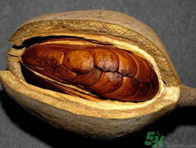向天果多少錢一斤？向天果價(jià)格