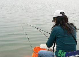 秋天釣鯉魚(yú)用什么味型？秋季釣鯉魚(yú)餌料味型