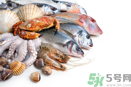 寒露吃海鮮胃不舒服為什么？寒露能吃海鮮嗎？