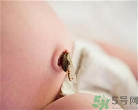新生兒肚臍怎么護理？新生兒肚臍什么時候掉？