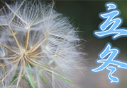 立冬可以釣魚嗎？立冬釣魚注意事項(xiàng)