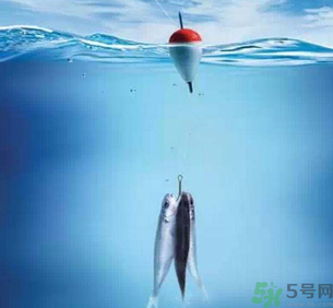 秋天釣魚深水還是淺水？秋天釣魚釣深水還是淺水？