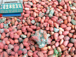 花生米發(fā)霉了還能吃嗎？花生米發(fā)霉了怎么辦？