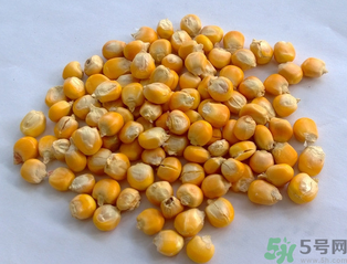 玉米用什么泡釣魚好？玉米怎么泡好釣魚？