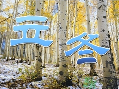 立冬可以栽樹嗎？立冬栽樹樹會(huì)死嗎？