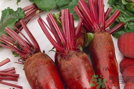 甜菜是甜的嗎？甜菜到底是不是甜的？
