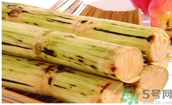 甘蔗過夜了能吃嗎？隔夜的甘蔗可以吃嗎？
