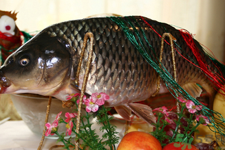 鯉魚死了還能吃嗎？鯉魚死了多久不能吃？