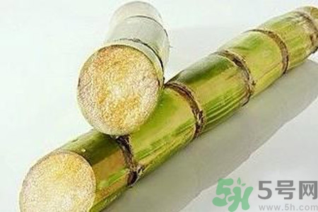 血糖高的人能吃甘蔗嗎？血糖偏高可以吃甘蔗嗎？
