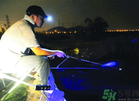 秋天可以夜釣嗎？秋天夜釣技巧
