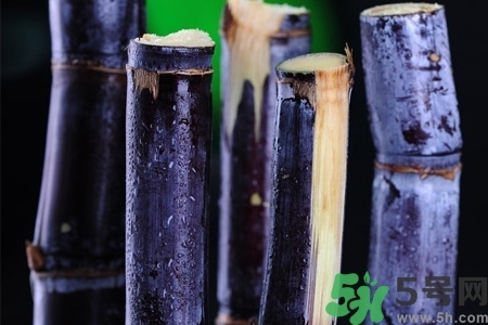 甘蔗一天吃多少最好？甘蔗能每天都吃嗎？