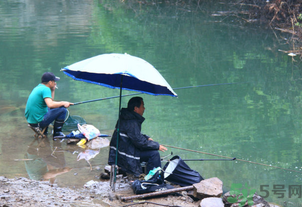 釣的魚怎么保存？釣的魚吃不完怎么保存？