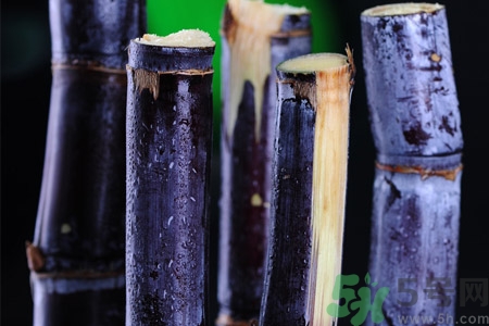 老人一天吃多少甘蔗最好？老人一天吃多少甘蔗合適？