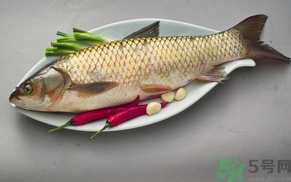 秋天怎么釣草魚？秋天草魚好釣嗎？