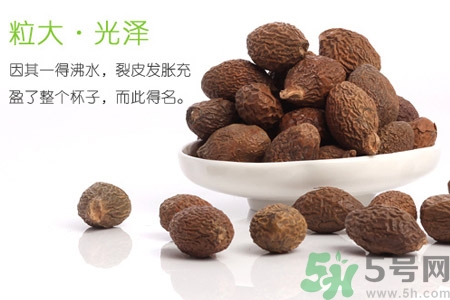 胖大海泡水后能吃嗎？胖大海的功效與作用