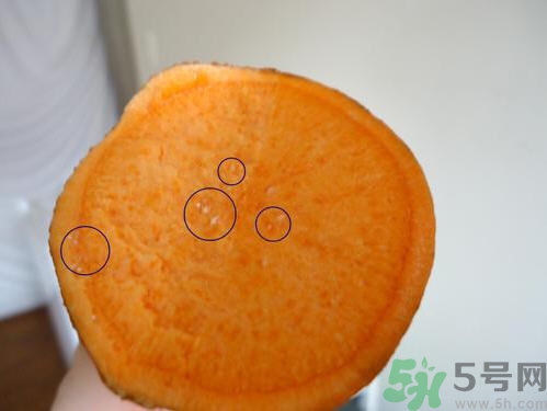 番薯發(fā)芽還能吃嗎？山芋發(fā)芽還能吃嗎？