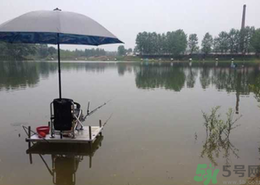 水庫釣魚用什么餌料？水庫釣魚用什么商品餌？