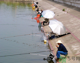 水庫釣魚用什么餌料？水庫釣魚用什么商品餌？