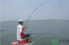 陰天好釣魚嗎？陰天釣魚好釣嗎？
