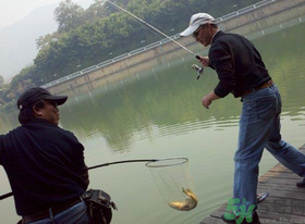 秋季釣黑魚用什么魚餌？秋天釣黑魚用什么餌？