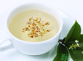 新鮮桂花能泡茶嗎？新鮮桂花怎么處理泡茶？