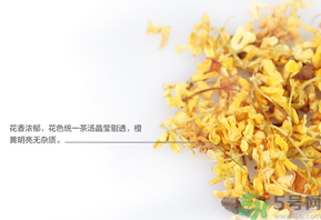 新鮮桂花可以泡水喝嗎？新鮮桂花泡水喝有什么好處？