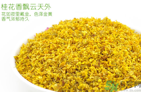 剛摘的桂花有蟲怎么辦？干桂花長蟲怎么辦？
