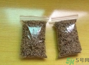 桂花怎么曬干？桂花曬好后可以做什么？
