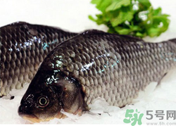 鯽魚(yú)死了一夜能吃嗎？鯽魚(yú)死了一天能吃嗎？