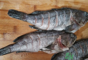 黑魚怎么洗掉身上的粘液？黑魚怎么洗才干凈？