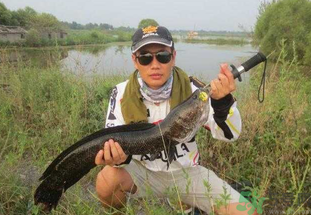 路亞釣黑魚用什么假餌？路亞釣黑魚用什么餌？
