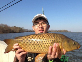 夜釣鯉魚用什么餌料？秋天夜釣鯉魚用什么餌料？