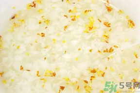 新鮮桂花可以煮粥嗎？桂花可以煮粥嗎？