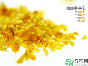桂花可以泡水喝嗎？桂花怎么泡水？