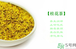新鮮桂花怎么做茶?新鮮桂花怎么做桂花茶? 新鮮桂花怎么做茶?新鮮桂花怎么做桂花茶?