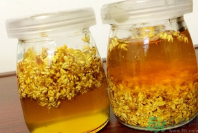 干桂花可以做桂花蜜嗎？干桂花怎么做桂花蜜？