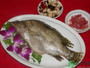 桂魚(yú)怎么保存？桂魚(yú)放冰箱怎么保存？
