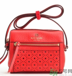 kate spade和coach哪個好？凱特絲蓓好還是蔻馳好？