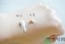 白兔祛痘膏和獅王哪個好？白兔牌暗瘡膏哪款好？
