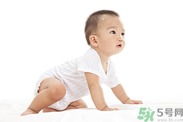 吃南瓜子可以打蟲嗎,南瓜子能打蛔蟲嗎？