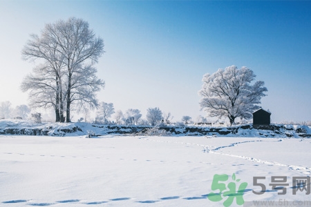 冬季養(yǎng)生吃什么最好？冬季養(yǎng)生吃三冬