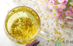 月經(jīng)期能喝桂花茶嗎？經(jīng)期能喝桂花茶嗎？