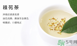 月經(jīng)期能喝桂花茶嗎？經(jīng)期能喝桂花茶嗎？